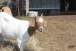 resIMG_20110417_5409.JPG